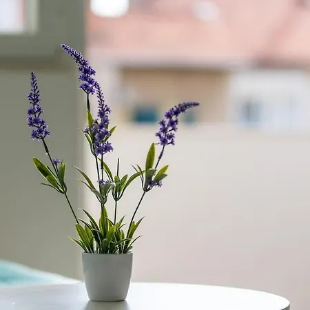 Apartment Stylish Olga Near And Old Town *