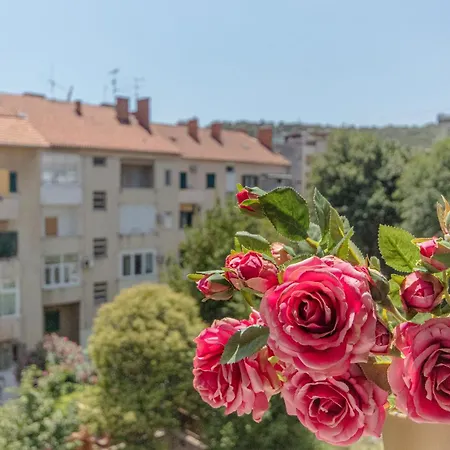 Stylish Olga Near And Old Town * Split