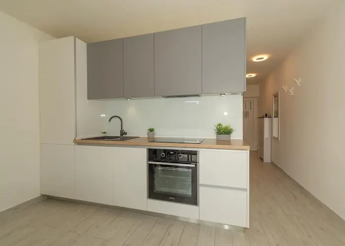 Stylish Olga Near And Old Town *