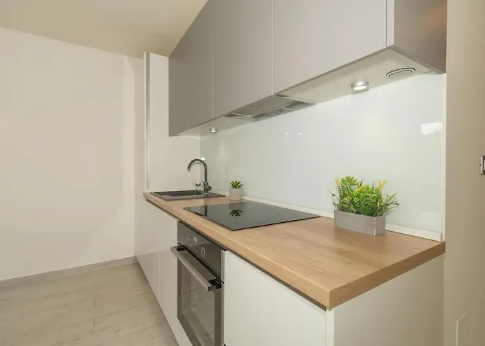 Apartment Stylish Olga Near And Old Town