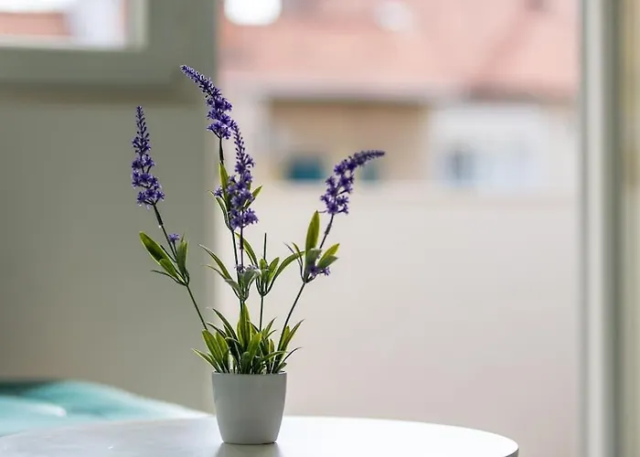 Apartment Stylish Olga Near And Old Town *