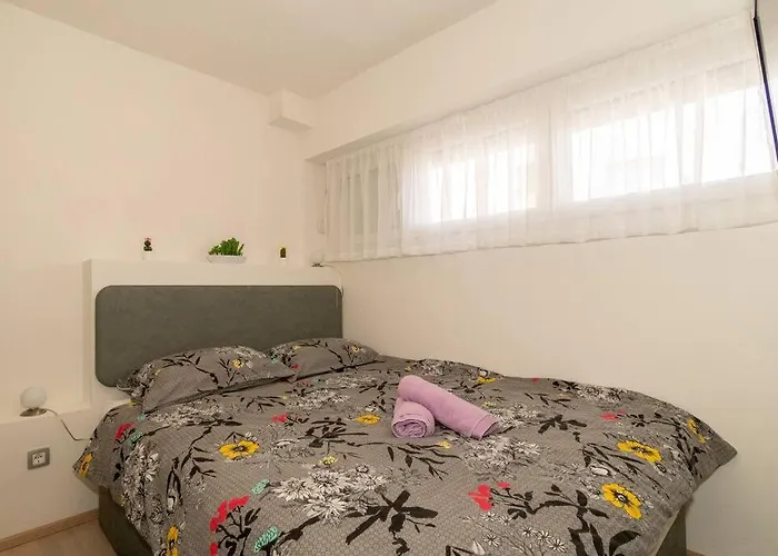 Stylish Olga Near And Old Town *